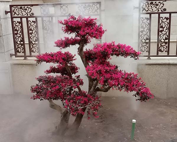 霧森系統(tǒng)價(jià)格、三門峽霧森報(bào)價(jià)